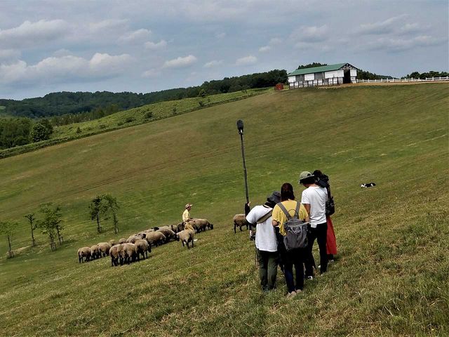 �^TV�ǂ̎��^��_�m�ʂ߂�r�q��