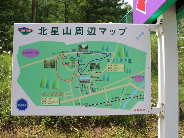 富良野 ストア キャンプ 場 ペット