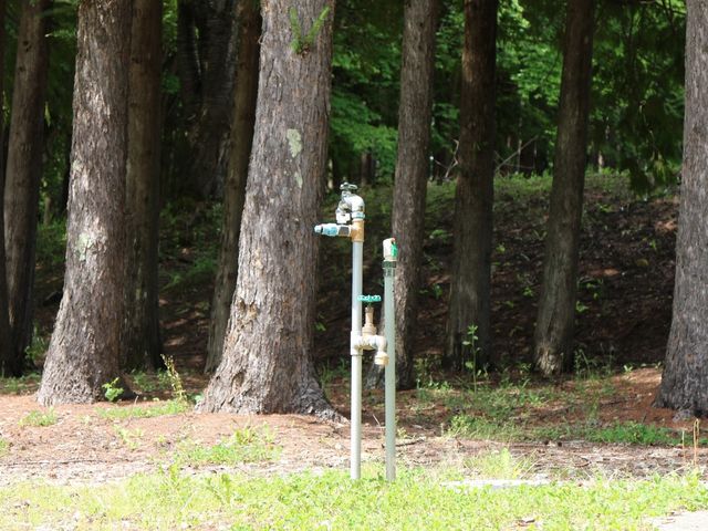 ���̌�����������܂���_���x�ǖ�X�ь����L�����v��