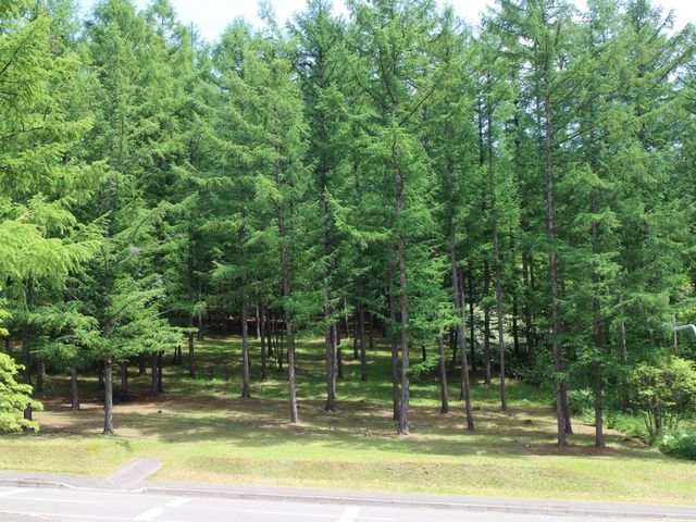 �X�ь���_���x�ǖ�X�ь����L�����v��