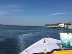 ܂܂̏M̓A@{N[Yւ̓eʐ^1