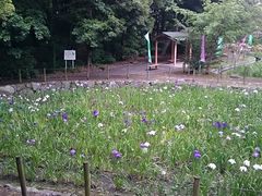 Xkv̖{̉Ԃ傤Ԃւ̓eʐ^1