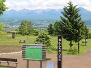 񂳂̐]Ԃƌe̍L̓eʐ^3