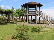 񂳂̐]Ԃƌe̍L̓eʐ^4