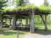 񂳂̐]Ԃƌe̍L̓eʐ^5