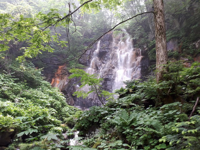 yellow727̌̑̓eʐ^2