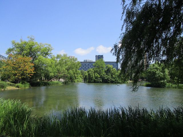 �r�̎�����U��ł���_��������