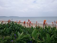 ܂܂̃IeO[Wւ̓eʐ^1