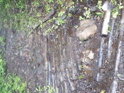 yellow727̌̑̓eʐ^1