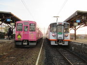 1962̈ꔨd Չw̓eʐ^2