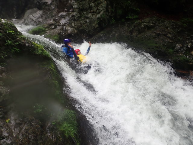 �V�R�X���C�_�[�I_�t�B�[���h�A�[�X����