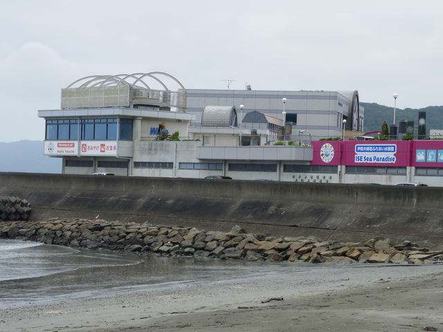 �_�Ђ̕����猩��Ƃ���Ȍ����ł�_�ɐ��v�w��߂��Ɖ���