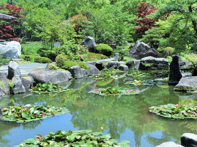 ��Β뉀�@��ɒr_��Β뉀