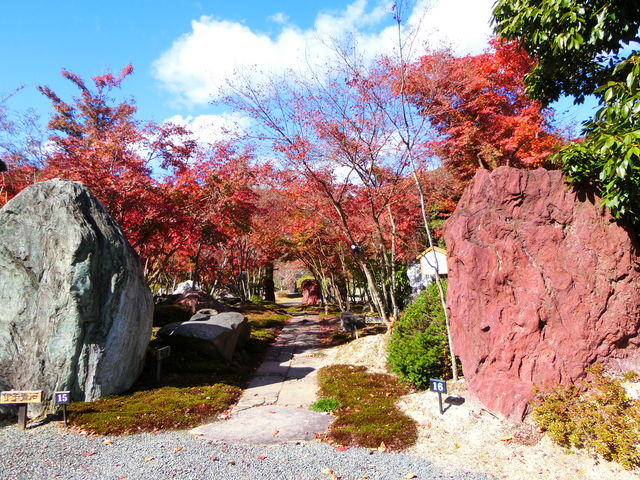 �g�t������_��Β뉀