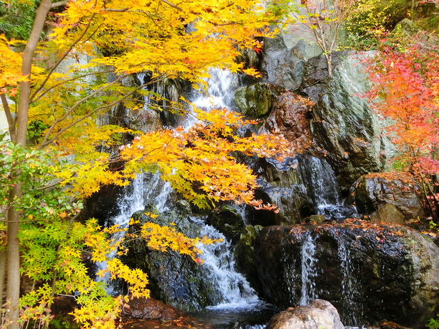 ��_���_��Β뉀