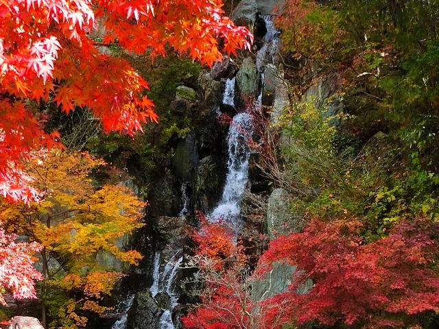 ��_���_��Β뉀