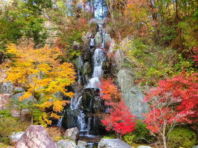 ��_���_��Β뉀