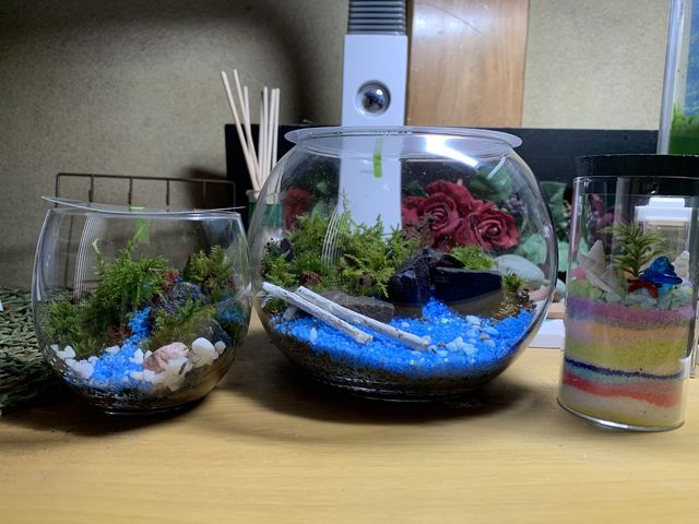 ۃeEEEJ[Th_ȗ΂̃CeA@ۉ