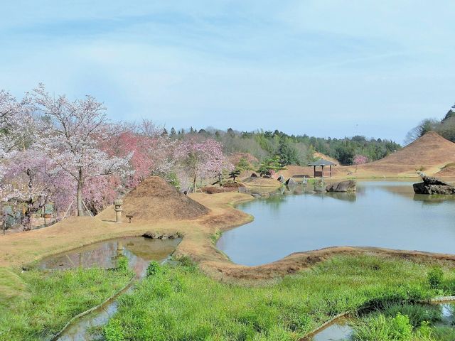 ��Β뉀_��Β뉀