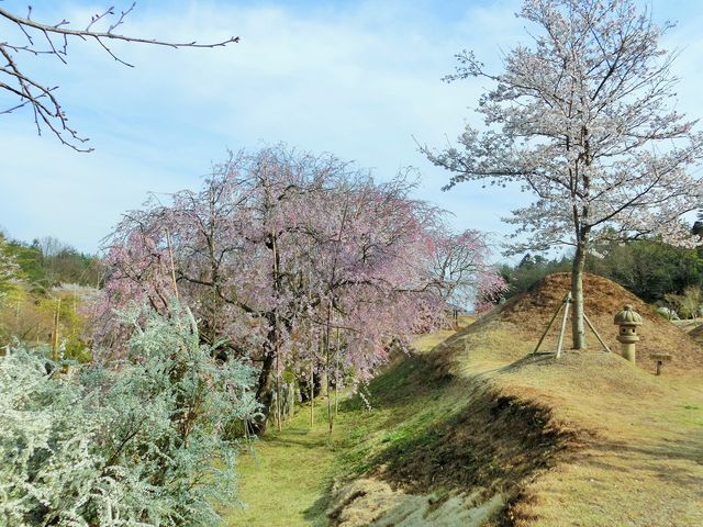 ��Β뉀_��Β뉀