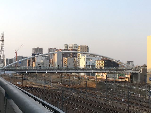 �k���Ɍ�����ق�������_�������܃X�[�p�[�A���[�i