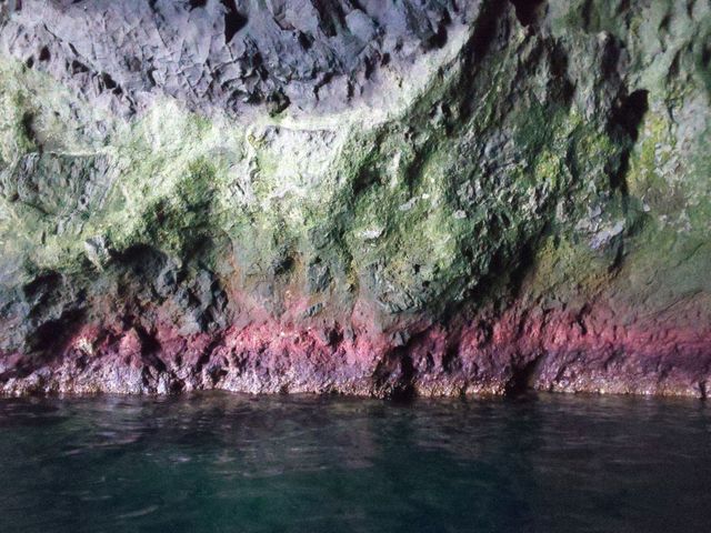 ���A����������Ō������������E�ł��B_�̓��A���M�N���[�W���O�v�����}����