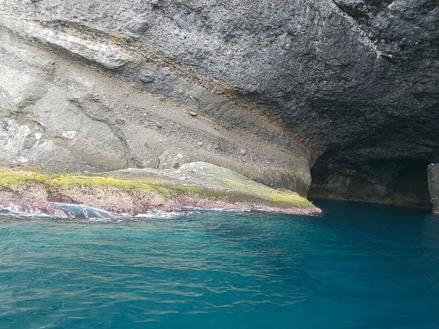 25�����炢�ł�������ł����ϒO�u���[���f�G_�̓��A���M�N���[�W���O�v�����}����