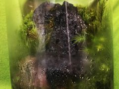 ỹt@~[K[fzt(ztAjւ̓eʐ^1