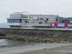 CÏɐvw߂Ɖւ̓eʐ^1