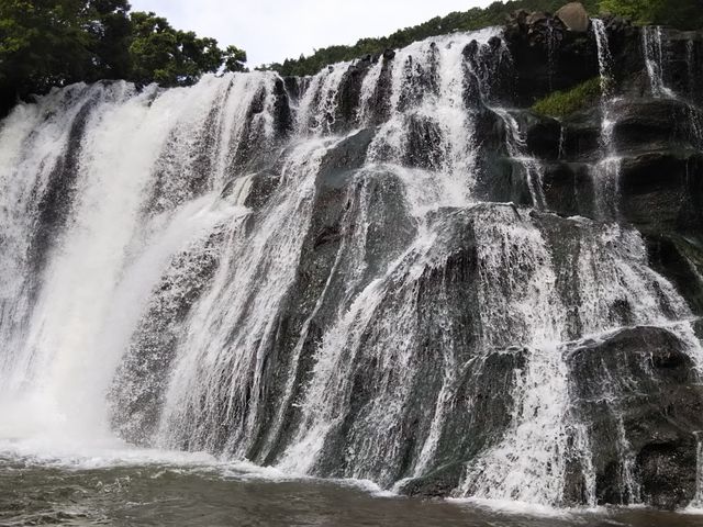 ����̑�ł��I_����̑�
