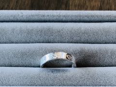 *Ԃ̃[NX^WIډԂւ̓eʐ^1