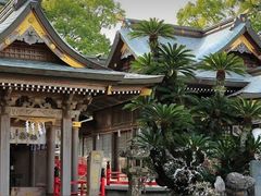 ちょこさんの諏訪神社（熊本県天草市）の投稿写真1