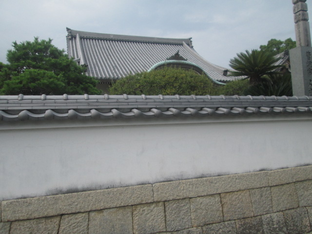 �ǂƋ������z���̉����͔������O���C�œ��ꂳ��Ă���B�@�����I_�l���R ���Ǝ�