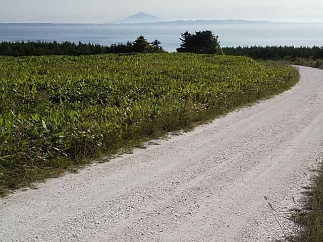 ������͓������C���ɗ΂ƊC�Ɖ����ɗ��K�x�m_�@�J�u�ˎ��X�͒n�`