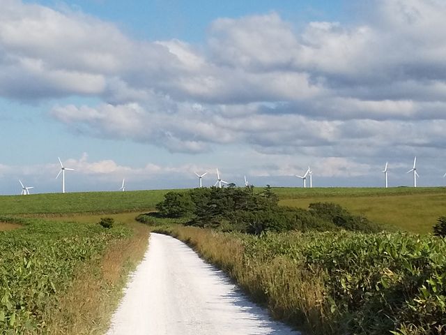 �@�J���u�ˎ��X�͒n�`�̗΂ƕ��ԂƐ���B_�@�J�u�ˎ��X�͒n�`