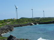 �C�I������̐���������̓��e�ʐ^1