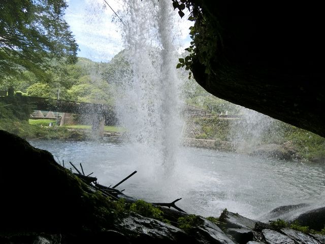 2019,8,7�@�����̑���[���y���߂܂���_�����̑�