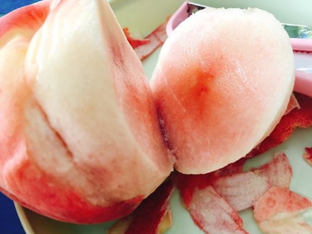 �悭�₦�Ă܂����I_�R���̎��R���j�̌��@�Z���X�E�I�u�E�����_�[�R��