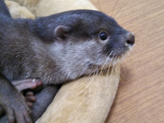 Fx͖KČĂ_RcCgr܃TVCX