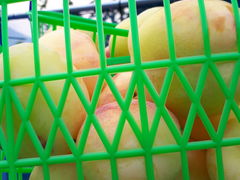 킹񂳂̒r̒[_ւ̓eʐ^1