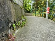 񂳂̍{n䂩̍L̓eʐ^3