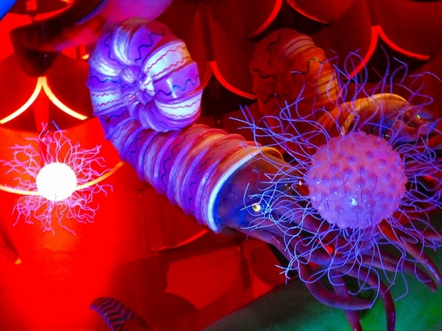 ���{�E���c�s�E���z�̓��E�����̎��̐����Q_���z�̓�