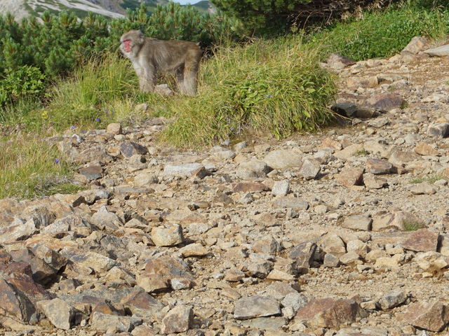 @؎RŃzhUxRAŐz쑤ցAPOȏオqwɁARz̗ŔHH_̒rrW^[Z^[