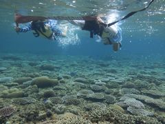 石垣島 国立公園 米原ビーチでシュノーケルツアー ウェットスーツ 温水シャワー完備で快適 ４歳 参加ok 浅瀬でアイドル ニモ や珊瑚が沢山 ツアーの思い出写真プレゼントしますよ Jellyfish じゃらん遊び体験