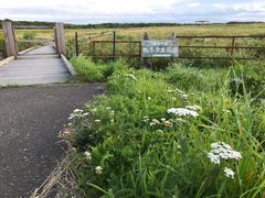 �k�P�Ă郉�C�_�[����̖k�������ԉ��ւ̓��e�ʐ^1