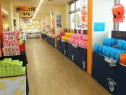 [Ȃ񂳂̊CNׂ}̓eʐ^3