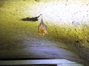 kimish̎R_̐Δ̓eʐ^2