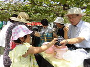 ̃v̂Ԃǂ₳񐼑̓eʐ^1