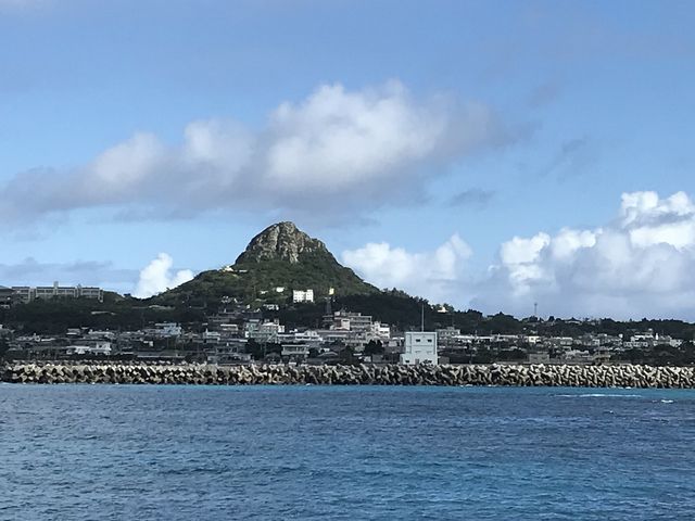 �ɍ]���̏�R_�ɍ]��R