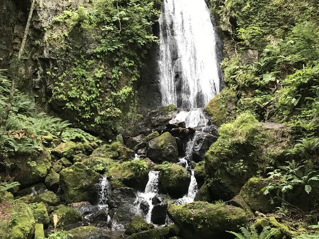 �ۊ�A�ې΂ɔ�����_�s���̑�